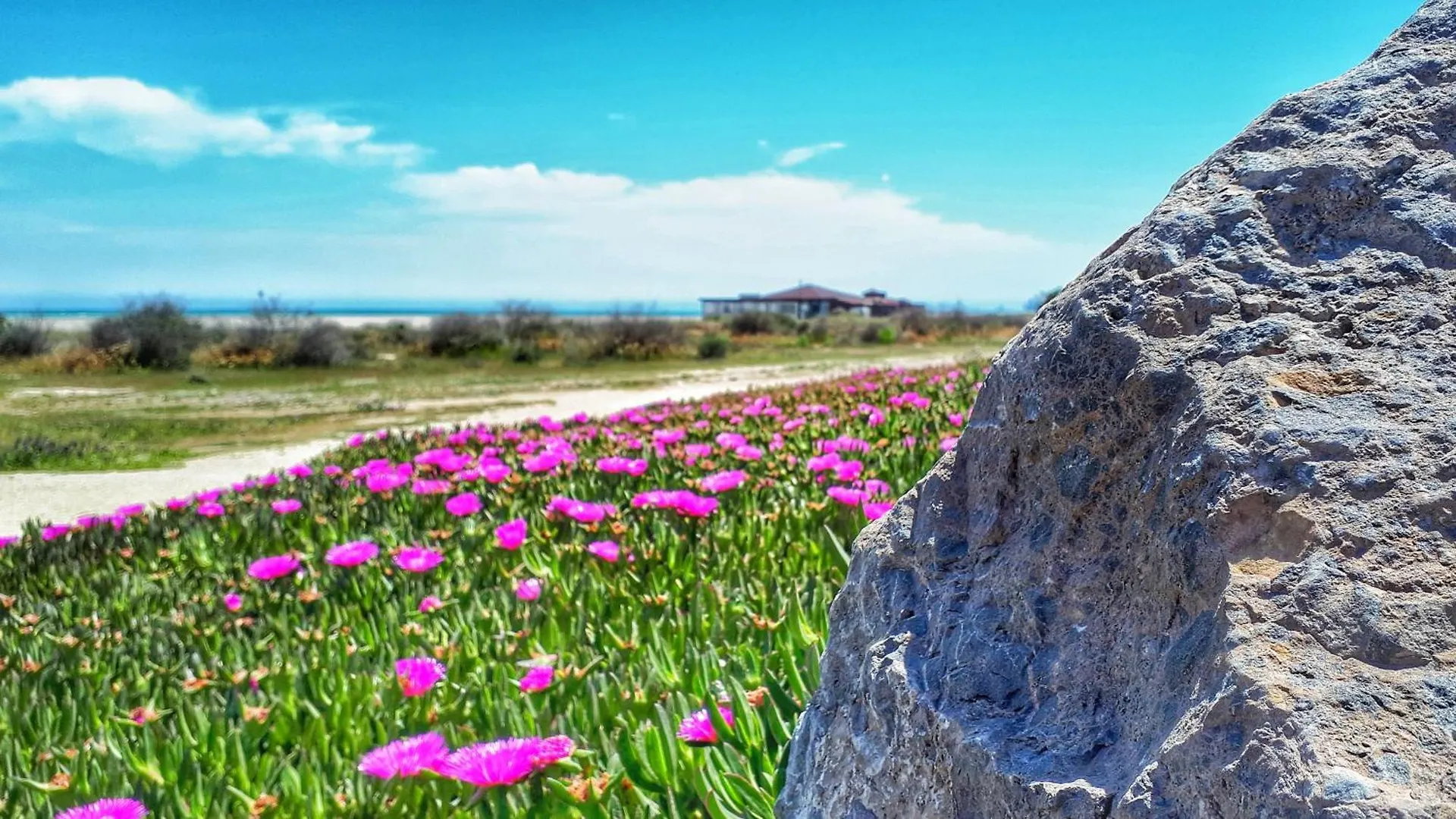 모야카 Golf Marina De La Torre Con Vistas Al Mar 아파트 스페인